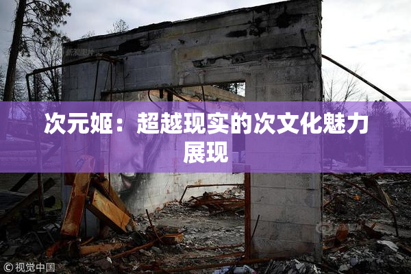 次元姬：超越现实的次文化魅力展现