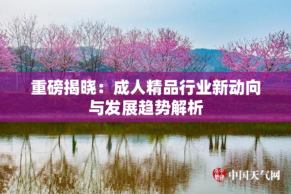 重磅揭晓：成人精品行业新动向与发展趋势解析