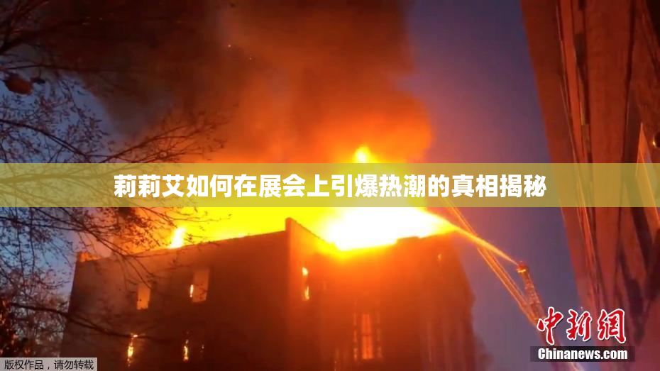 莉莉艾如何在展会上引爆热潮的真相揭秘