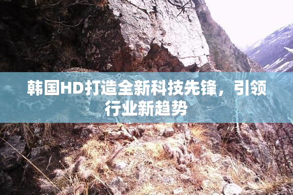 韩国HD打造全新科技先锋，引领行业新趋势