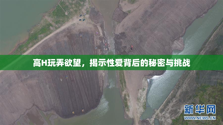高H玩弄欲望，揭示性爱背后的秘密与挑战