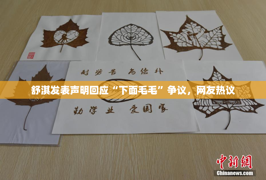 舒淇发表声明回应“下面毛毛”争议，网友热议