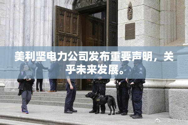 美利坚电力公司发布重要声明，关乎未来发展。
