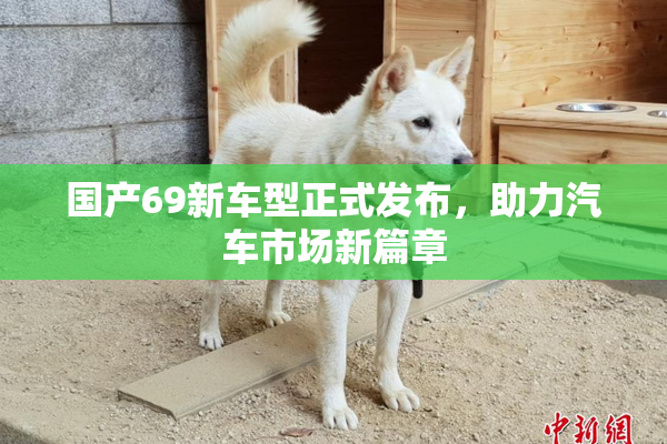 国产69新车型正式发布，助力汽车市场新篇章