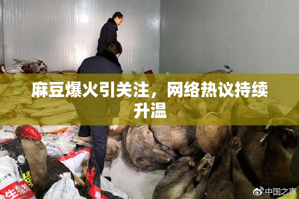 麻豆爆火引关注，网络热议持续升温