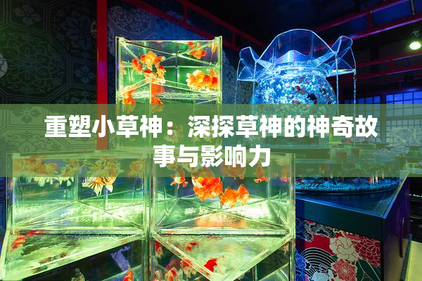 重塑小草神：深探草神的神奇故事与影响力