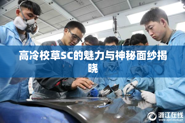 高冷校草SC的魅力与神秘面纱揭晓