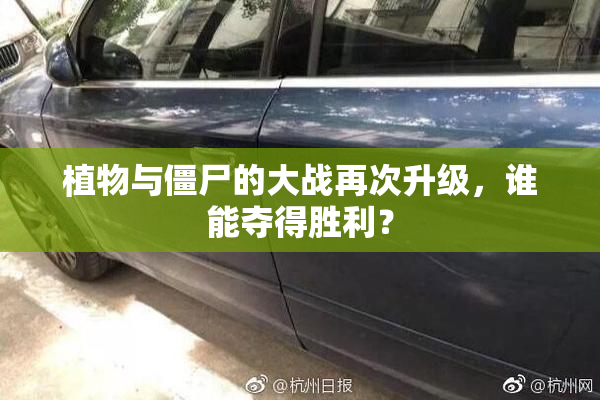 植物与僵尸的大战再次升级，谁能夺得胜利？