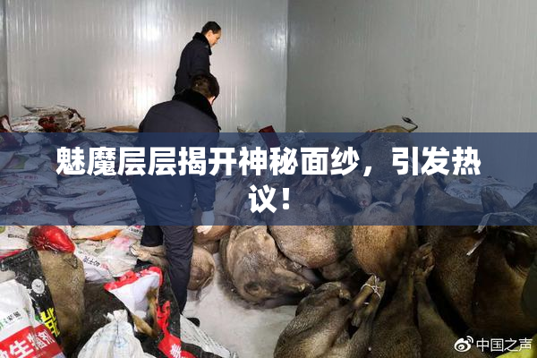 魅魔层层揭开神秘面纱，引发热议！