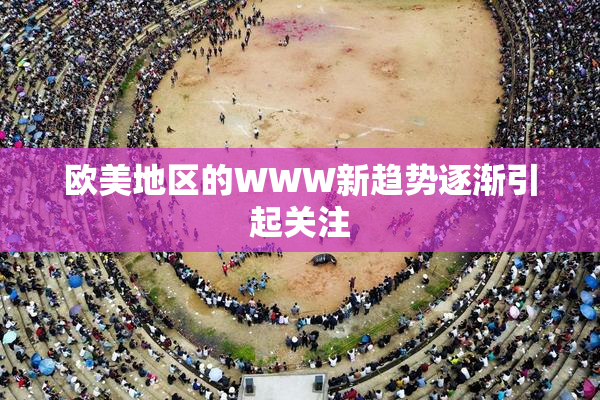 欧美地区的WWW新趋势逐渐引起关注