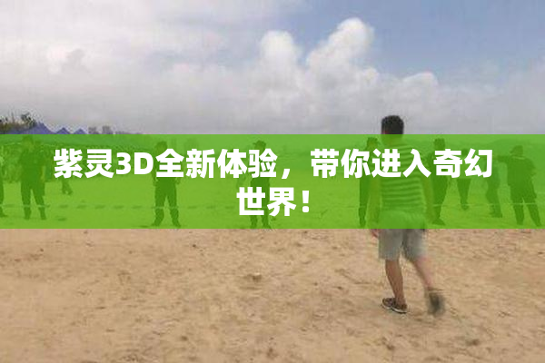 紫灵3D全新体验，带你进入奇幻世界！