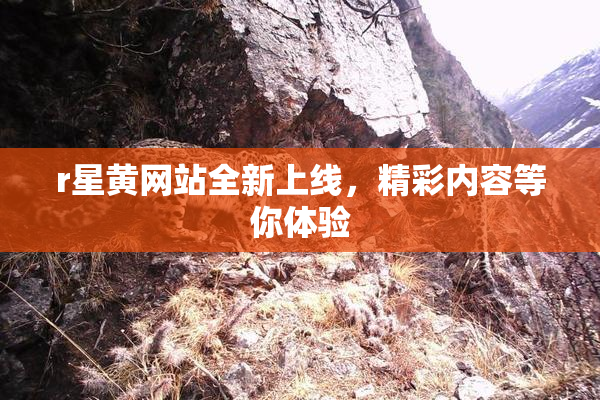 r星黄网站全新上线，精彩内容等你体验