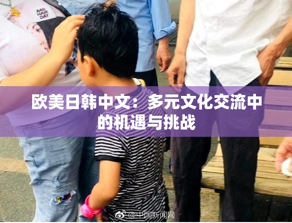 欧美日韩中文：多元文化交流中的机遇与挑战
