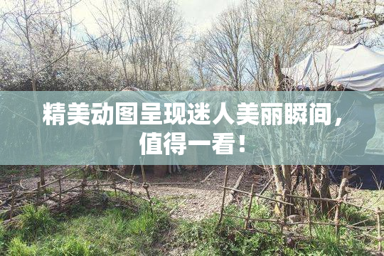 精美动图呈现迷人美丽瞬间，值得一看！