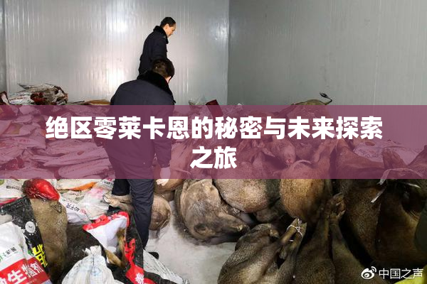 绝区零莱卡恩的秘密与未来探索之旅