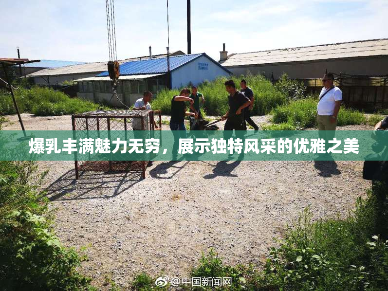 爆乳丰满魅力无穷，展示独特风采的优雅之美