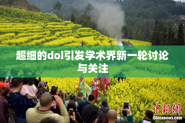 超细的doi引发学术界新一轮讨论与关注