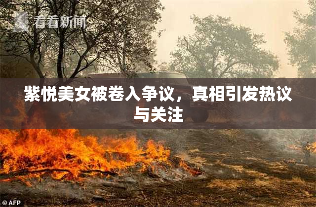 紫悦美女被卷入争议，真相引发热议与关注