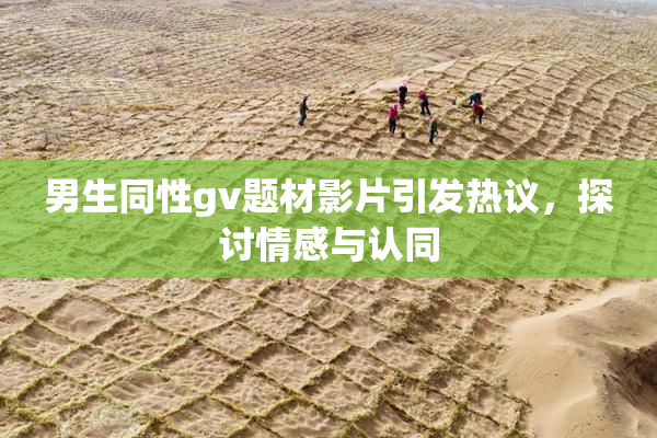男生同性gv题材影片引发热议，探讨情感与认同