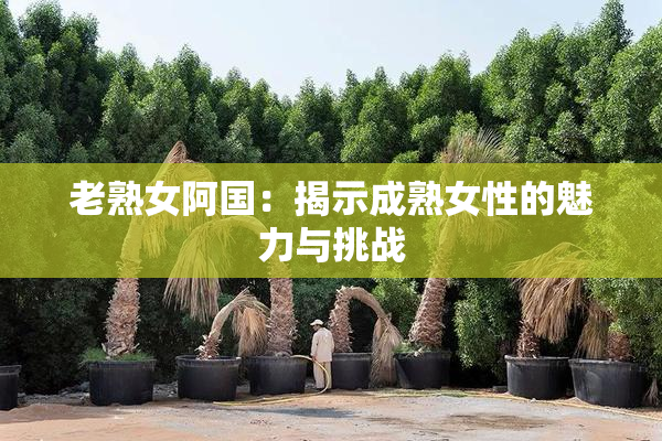 老熟女阿国：揭示成熟女性的魅力与挑战