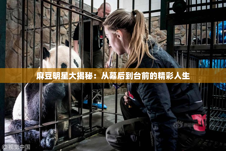 麻豆明星大揭秘：从幕后到台前的精彩人生