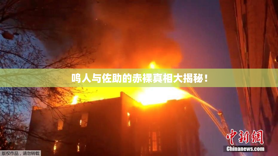 鸣人与佐助的赤裸真相大揭秘！