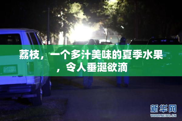 荔枝，一个多汁美味的夏季水果，令人垂涎欲滴