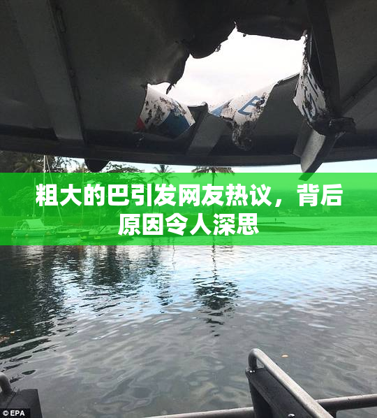 粗大的巴引发网友热议，背后原因令人深思