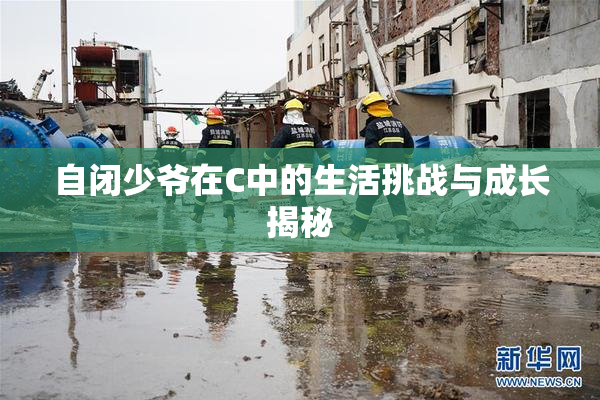 自闭少爷在C中的生活挑战与成长揭秘