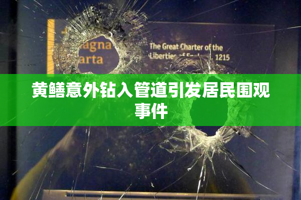 黄鳝意外钻入管道引发居民围观事件