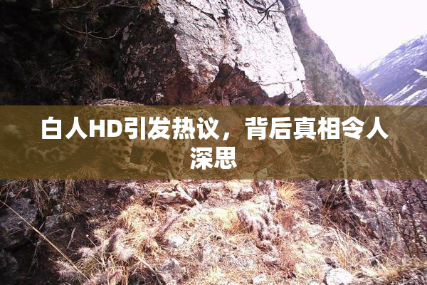 白人HD引发热议，背后真相令人深思
