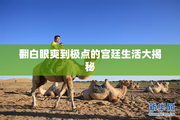 翻白眼爽到极点的宫廷生活大揭秘