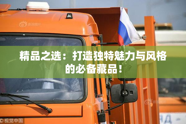 精品之选：打造独特魅力与风格的必备藏品！