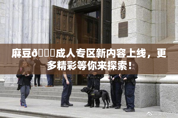 麻豆🔞成人专区新内容上线，更多精彩等你来探索！