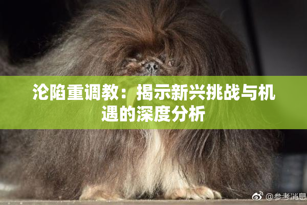 沦陷重调教：揭示新兴挑战与机遇的深度分析
