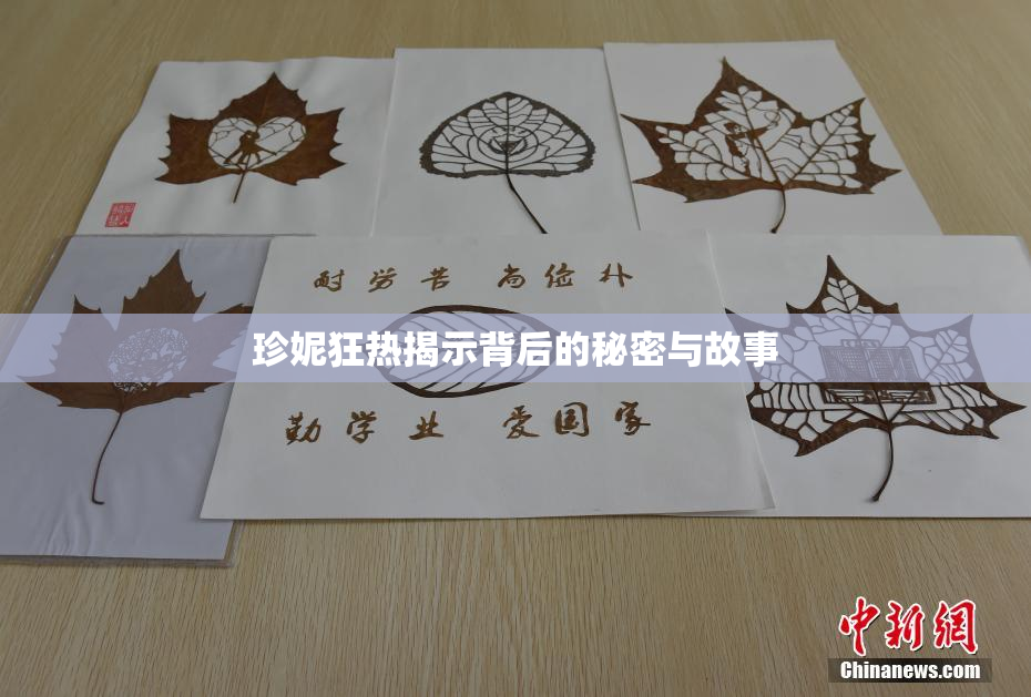 珍妮狂热揭示背后的秘密与故事
