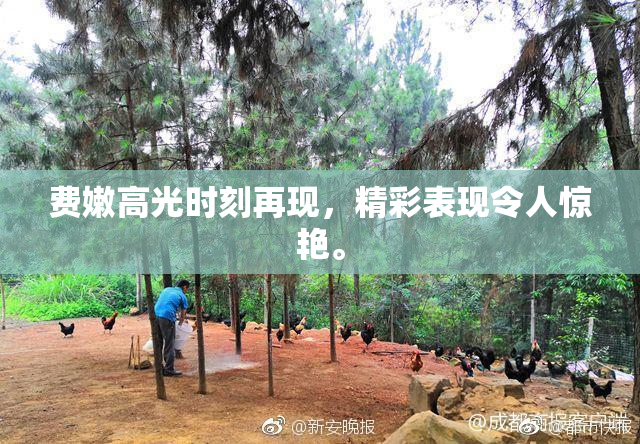 费嫩高光时刻再现，精彩表现令人惊艳。