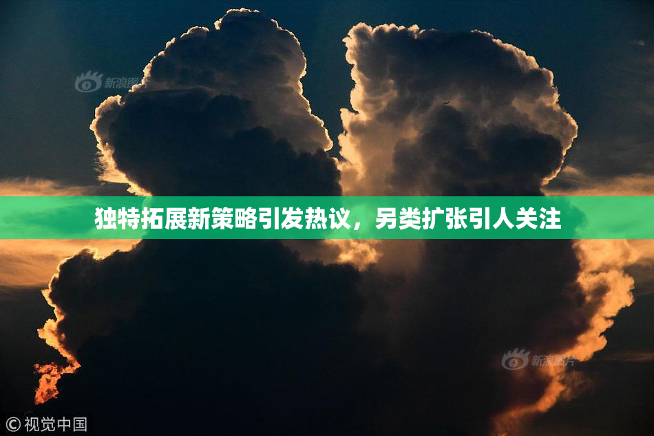 独特拓展新策略引发热议，另类扩张引人关注