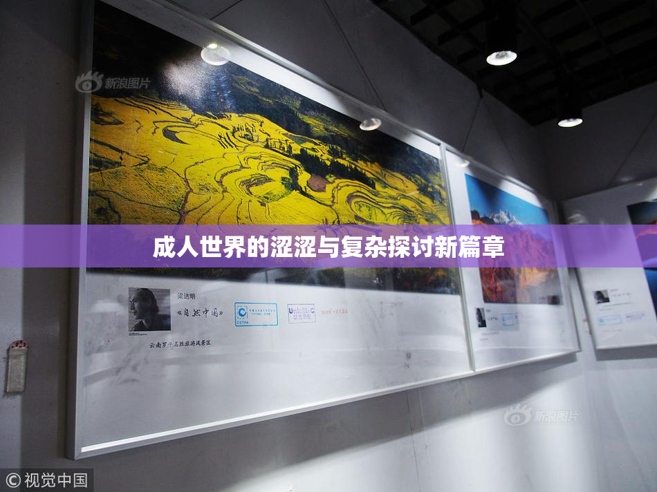成人世界的涩涩与复杂探讨新篇章