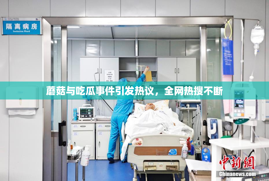 蘑菇与吃瓜事件引发热议，全网热搜不断