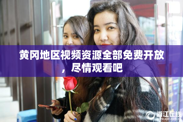 黄冈地区视频资源全部免费开放，尽情观看吧