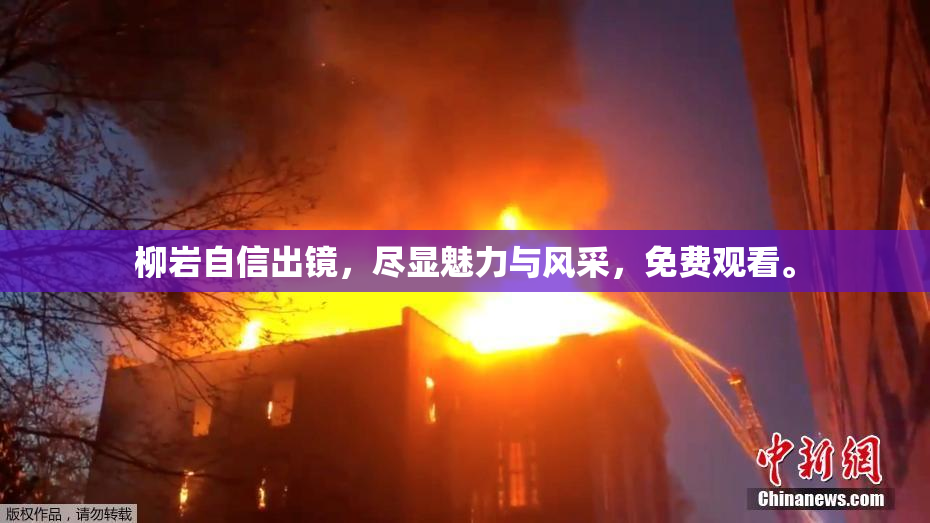 柳岩自信出镜，尽显魅力与风采，免费观看。