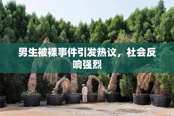 男生被裸事件引发热议，社会反响强烈
