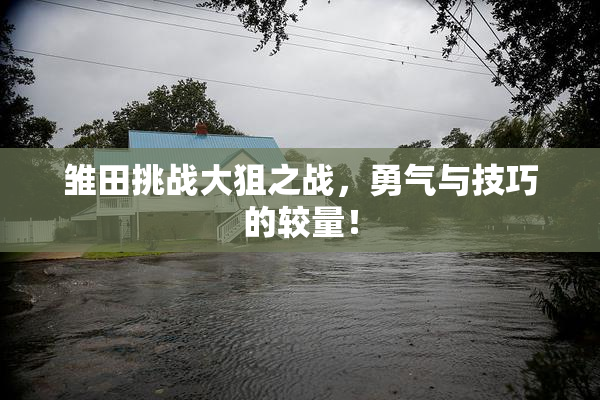 雏田挑战大狙之战，勇气与技巧的较量！
