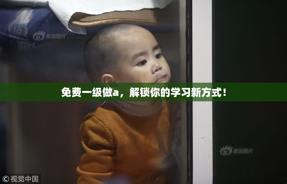 免费一级做a，解锁你的学习新方式！