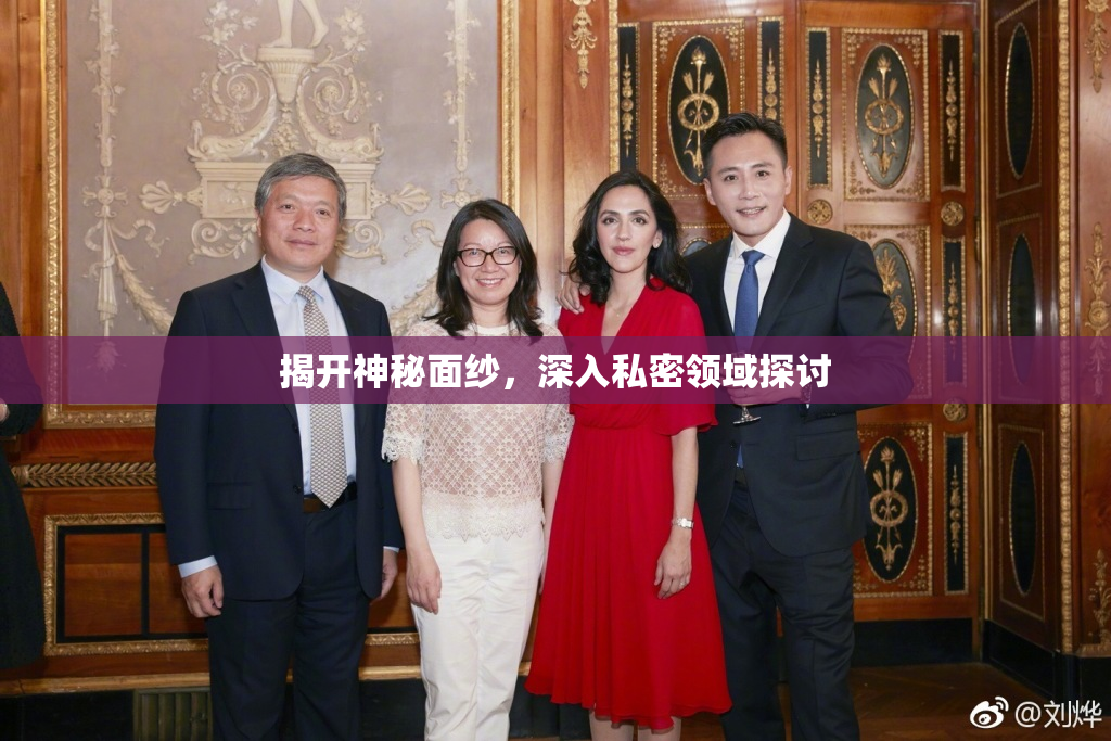 揭开神秘面纱，深入私密领域探讨