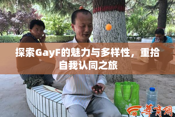 探索GayF的魅力与多样性，重拾自我认同之旅
