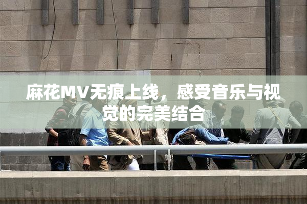 麻花MV无痕上线，感受音乐与视觉的完美结合