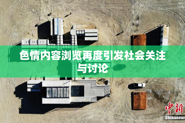 色情内容浏览再度引发社会关注与讨论