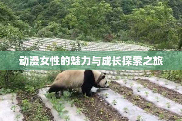 动漫女性的魅力与成长探索之旅